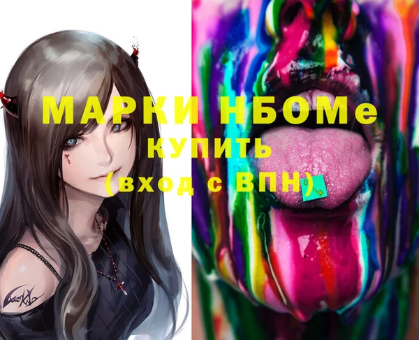 индика Бугульма