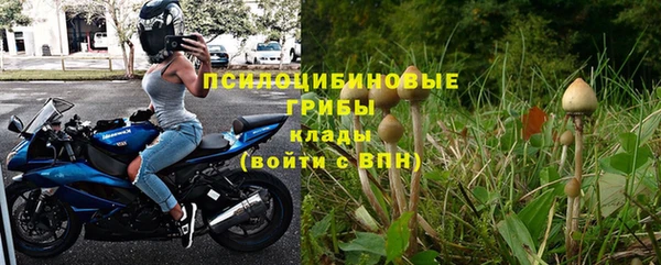 индика Бугульма
