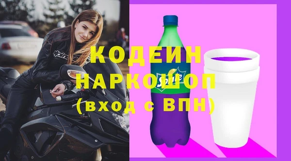 индика Бугульма