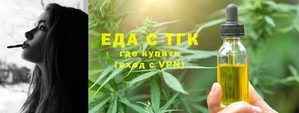 индика Бугульма