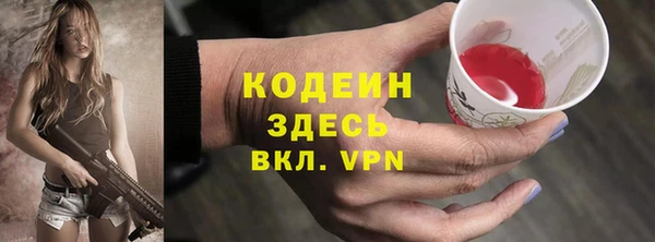 индика Бугульма