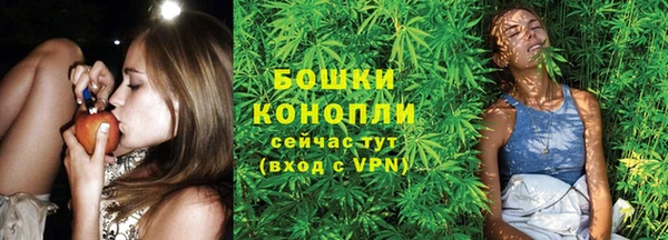 индика Бугульма