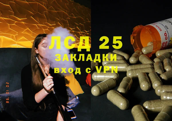 индика Бугульма