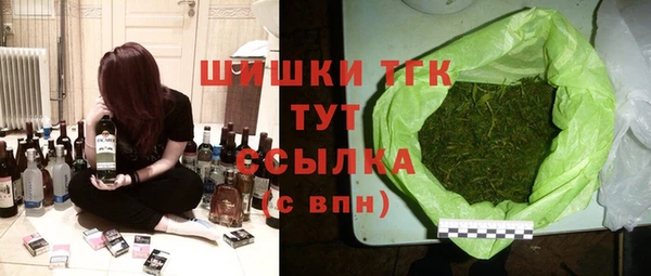 индика Бугульма