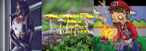соль курить ск Бородино