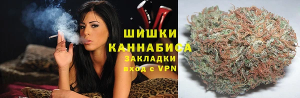 индика Бугульма